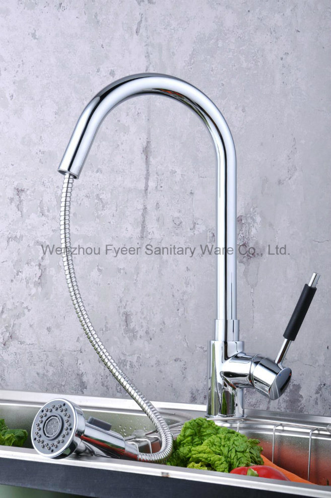 Pull out Spray Brass Kitchen Sink Faucet (QH0784)