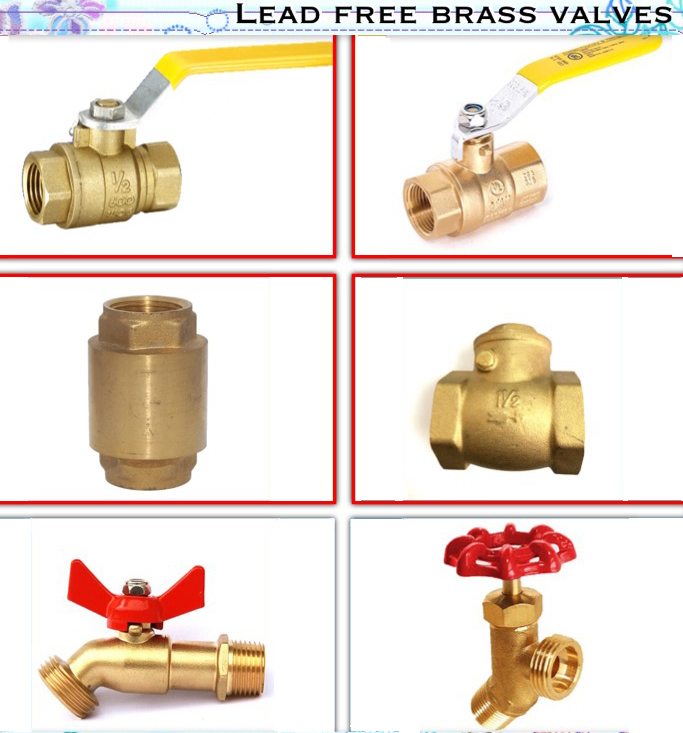 Lead Free Brass Spring Check Valve