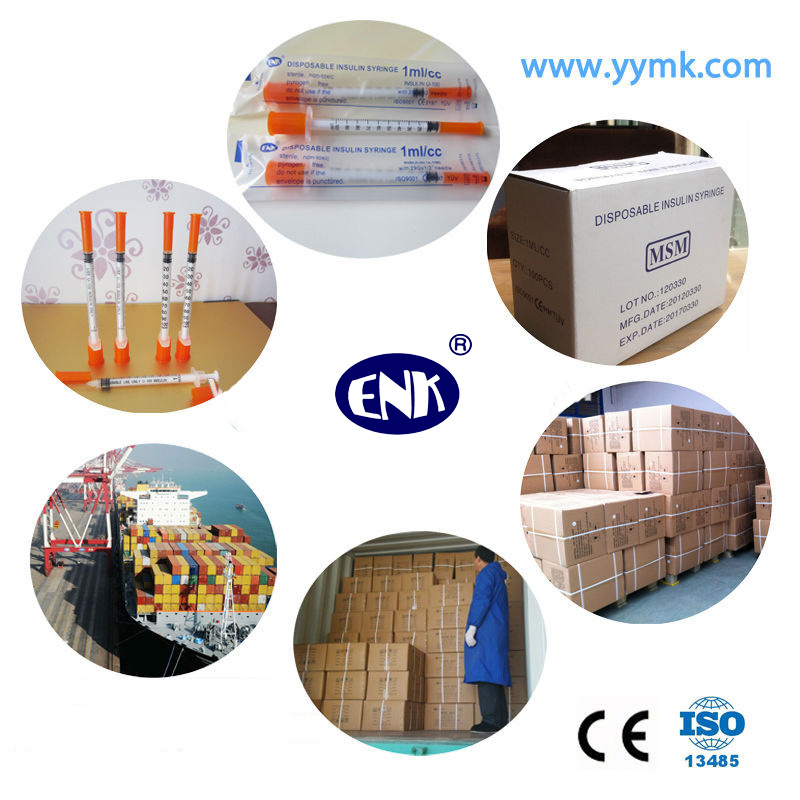 Medical Disposable 0.3cc/0.5cc/1cc Insulin Syringe with Needle (ENK-YDS-001)