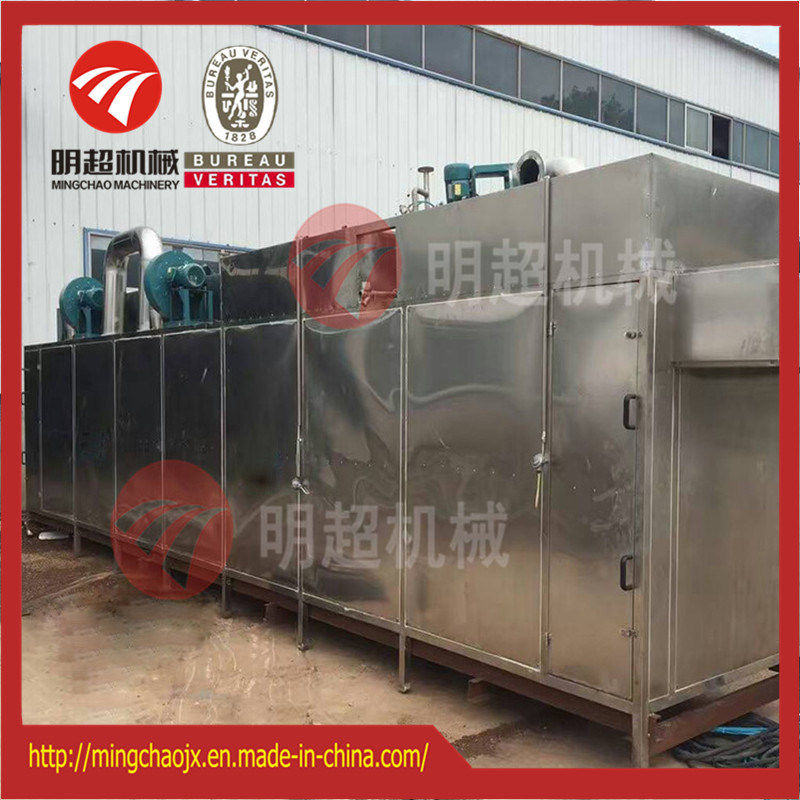 Tunnel Type Hot Air Drying Machine/Pitaya Slice Belt Dryer Chamber