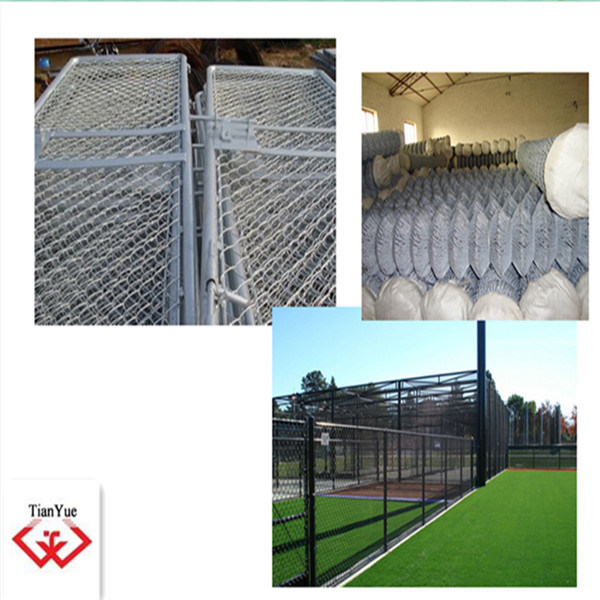 High Quality Galvanized and PVC Coated Chain Link Fence (TYC-048)