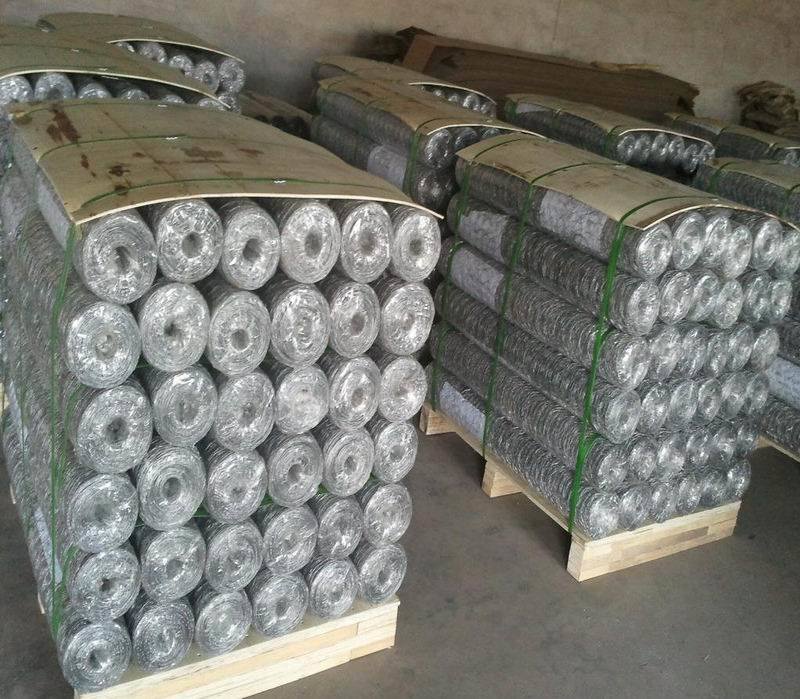 Chicken Wire Mesh/Galvanized & PVC Coated Hexagonal Wire Mesh