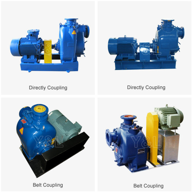 Ju Series Wet Priming Centrifugal Water Pump with Electric