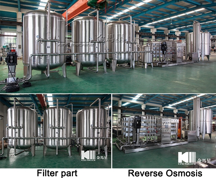 2t/H Reverse Osmosis Customizable Water Treatment Equipment