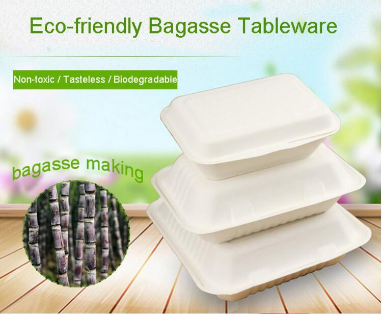 White and Virgin Pulp Different Sugarcane Bagasse Box Food Container