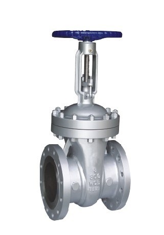 Z44 T W -10 Rising Stem Wedge Gate Valve