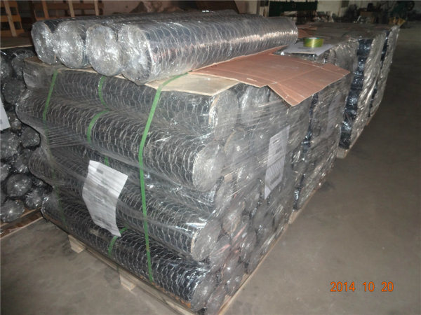 Hot Dipped Galvanized Hexagonal Wire Mesh for Poultry