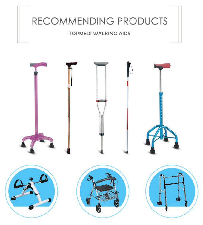 Handicapped Scalable Multi-Functional Intelligent Walking Stick for Elderly