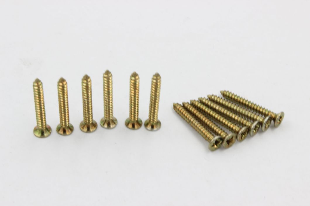 Self Drilling Screw Self Tapping Screw Wood Screw Drywall Screw