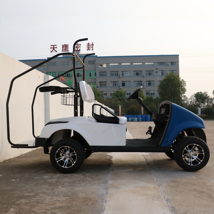 New Model 2 Passengers Chinese Mini Electric Golf Carts