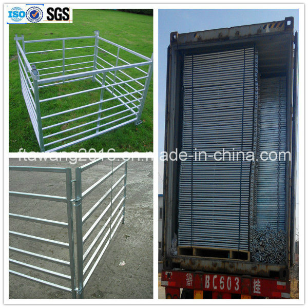 China Galvanized Steel Cattle Horse Fence/Fence Panels