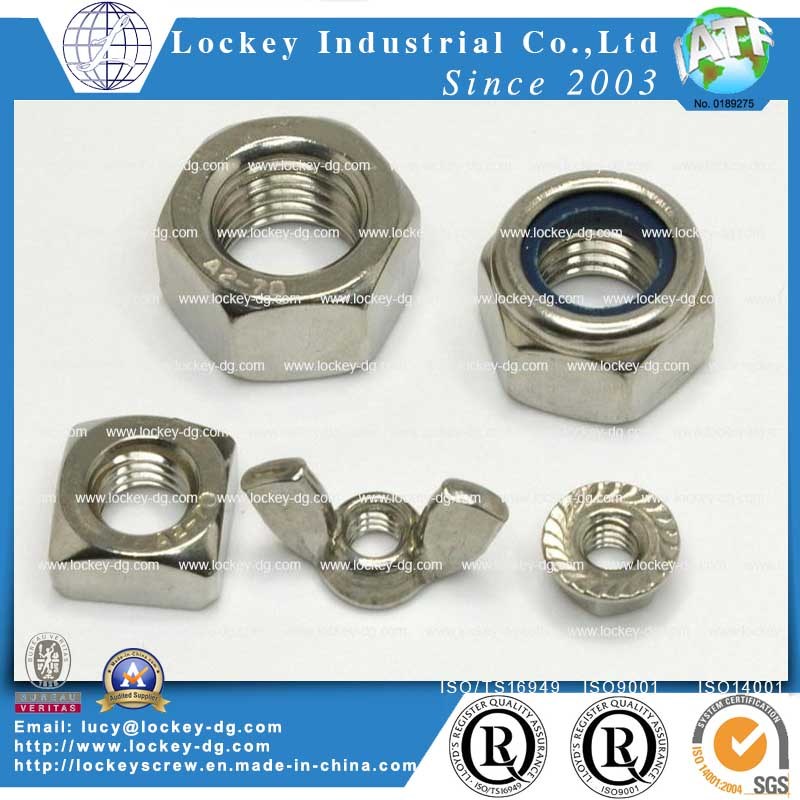 Passivated Stainless Steel Nut, Hex Nut, Flange Hut, Nylon Nut, Cap Nut, Wing Nut