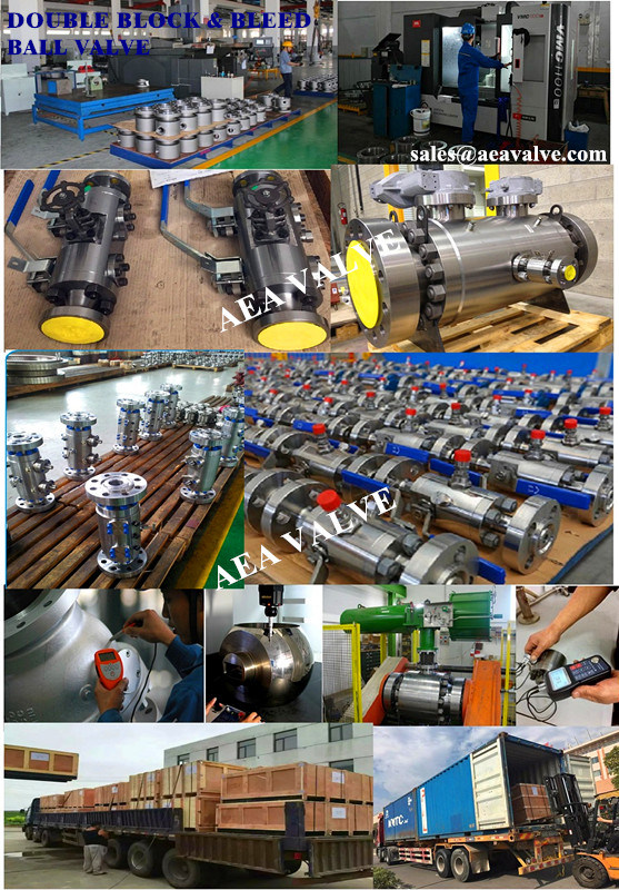 China Manufacturer Swagelok Type Monoflange Double Block and Bleed Valves