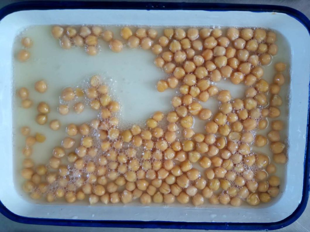 What Are Chick Peas, Look Garbanzo Beans Toasted Chick Peas