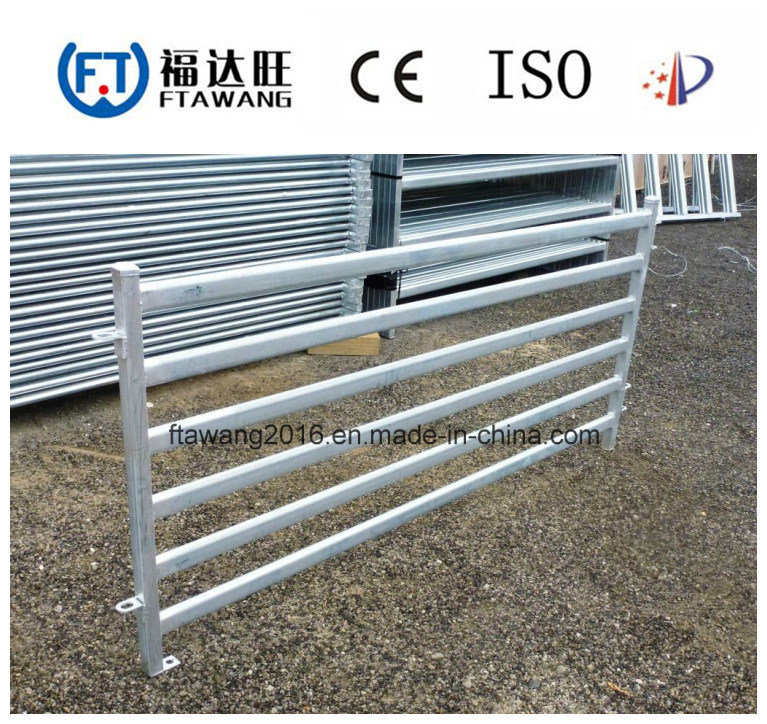 Welded Wire Mesh Fence/Farm Fence for Cattle Deer Horse Sheep