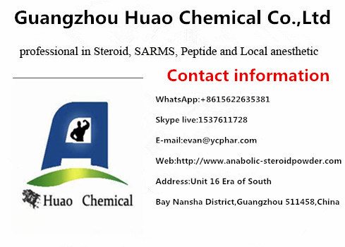 China Factory Supplies 99% Purity Dasatinib Powder 302962-49-8