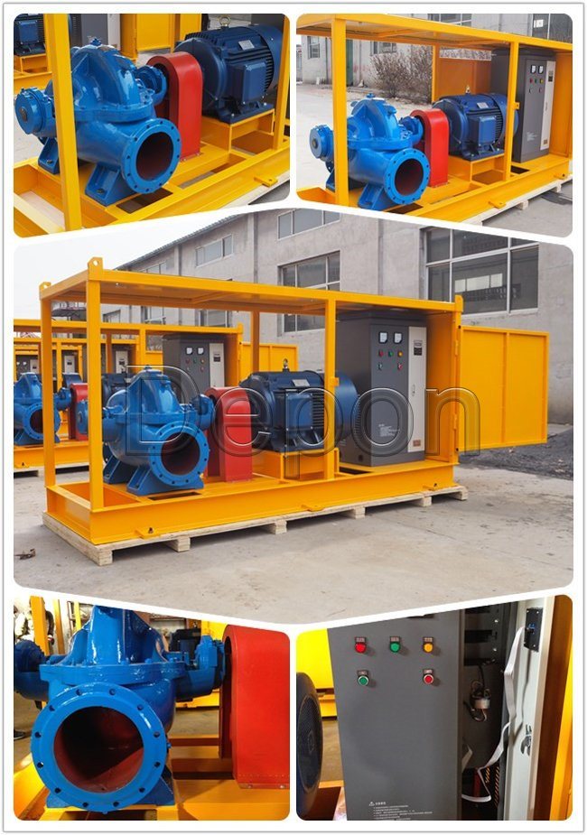 High Flow Double Suction Water Pump