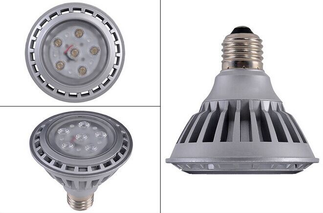 LED PAR30 Light 12W