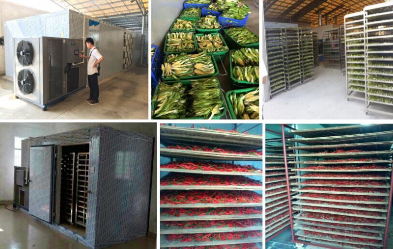 Herb Drying Machine of Cabinet Dryer for Okra/ Orange Peel