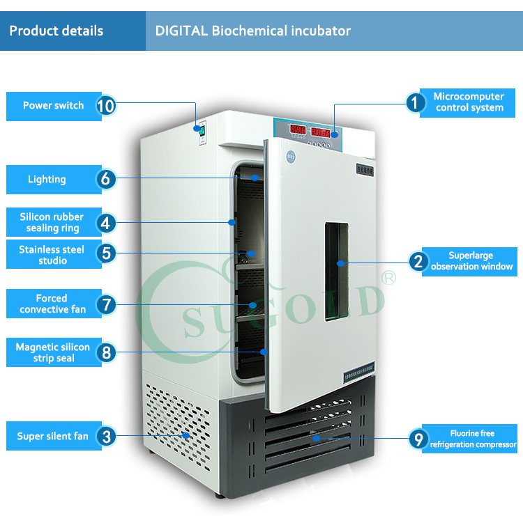 Laboratory Digital Biochemical Incubator