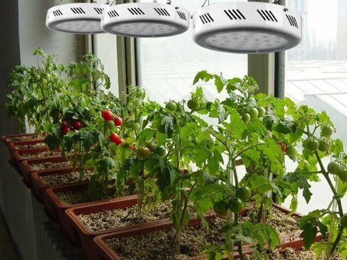 Highbay Topside Greenhouse Garden Indoor Hydroponic LED Grow Lamp