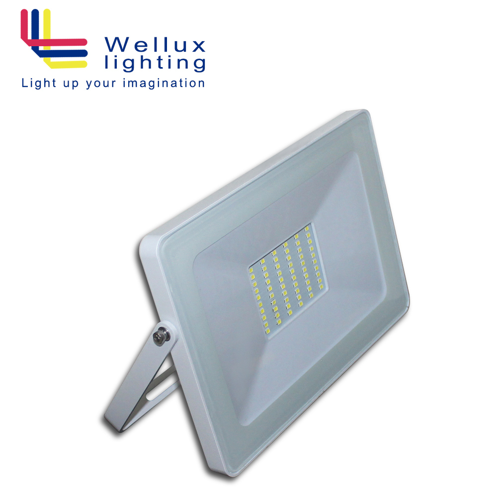 Outdoor Waterproof IP65 30W LED Floodlight 2years Warranty Pad LED Floodlight Ce RoHS