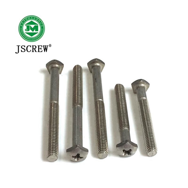 China Screw Factory Supply Stainless Steel Special Machine Screw