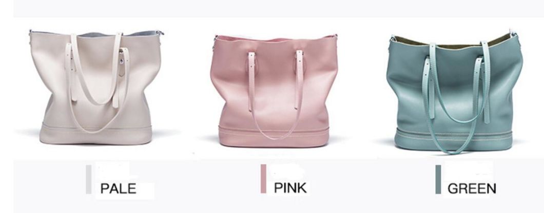 2018 New Arrival Lady Handbag Genuine Leather Handbag with Best Quality