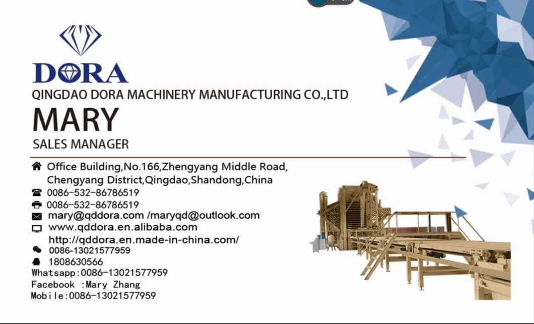 Woodworking Machinery R-RP 630 Heavy Duty Wide Belt Sander Sanding Machine
