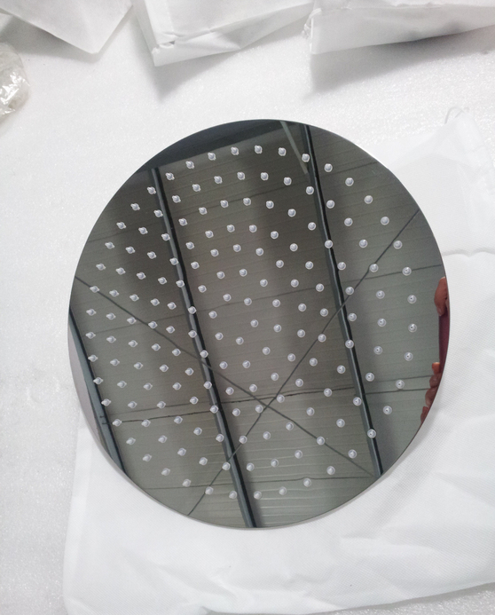 100mm, 150mm, 200mm Round Stainless Steel Shower with Flower Side