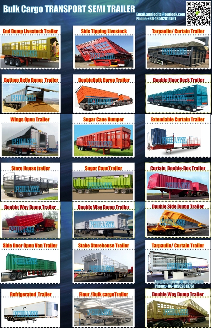 Bulk Light Cargo Transport Van Semi Curtain Side Trailer