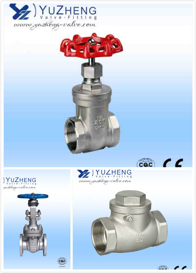 ANSI Flanged Stainless Steel Gate Valve