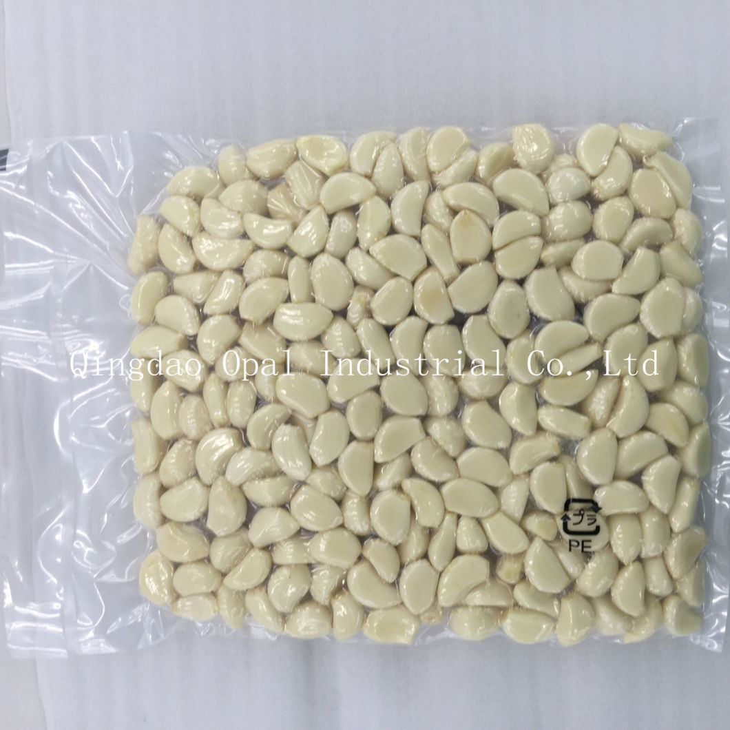 Chinese Fresh Peeled Vacuum Garlic Clove Best Price 4