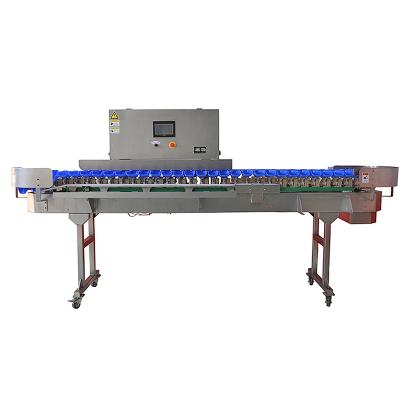 Automatic Weight Sorting Machine for Fish/Seafood/Fruit with Conveyor