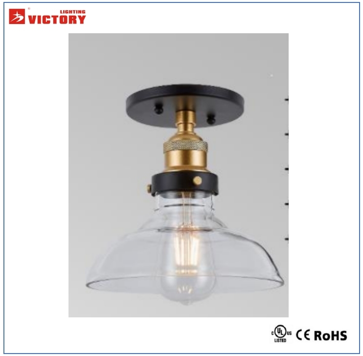 High Quality New Round Simple Indoor Ceiling Lamp with Ce RoHS