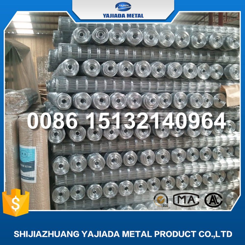 Manfuacture for Galvanized Wire Mesh Welded Mesh Fence