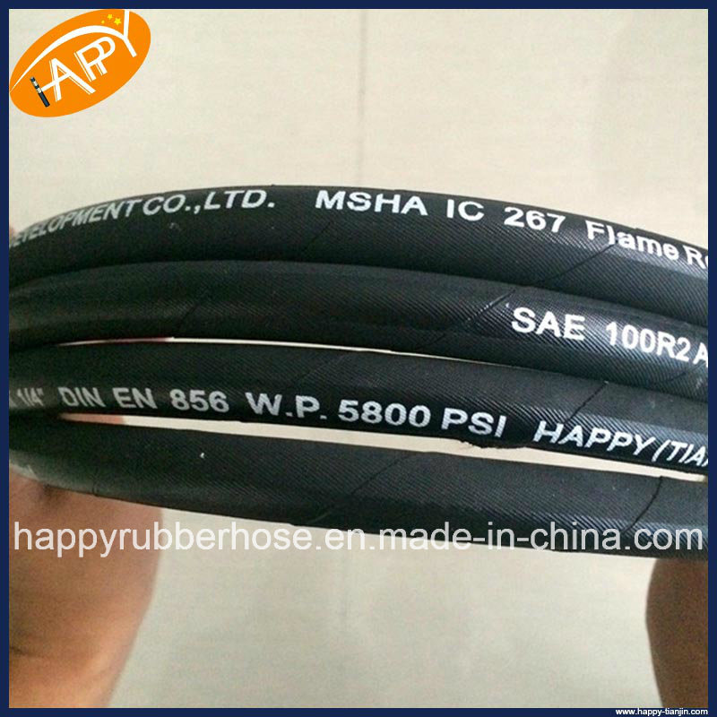 2sn DIN En853 Flexible High Pressure Double Steel Wire Braid Hydraulic Hose