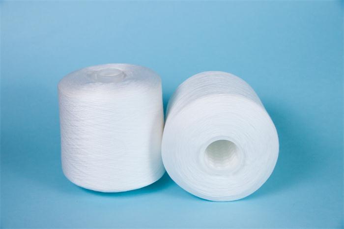 40/2 5000 Yards 100% Polyester Overlock Sewing Thread