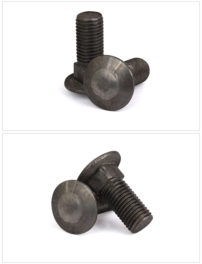 Steel Mushroom Head Square Neck Carriage Bolt and Nut