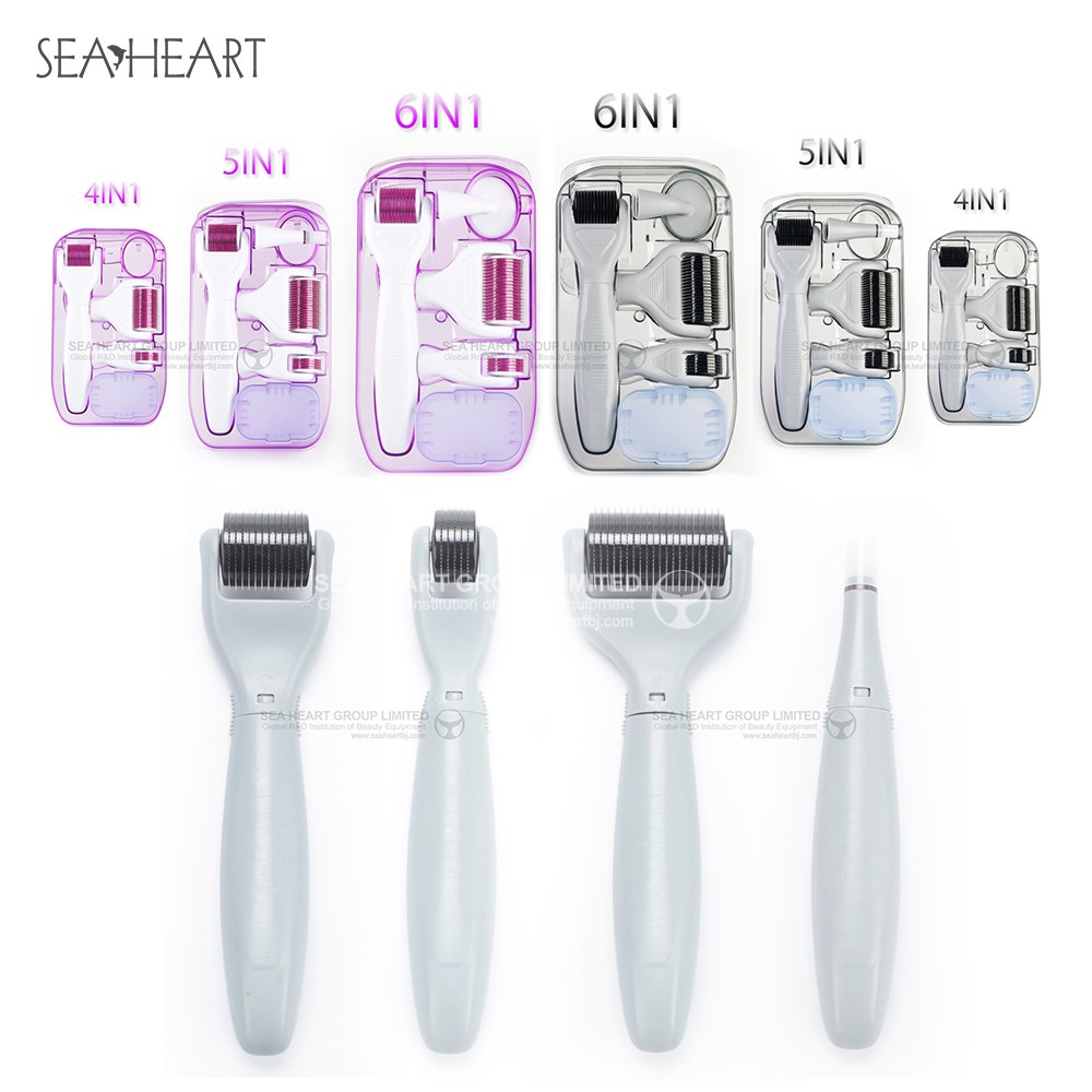 Good Quality 6in1 Dermaroller Kit for Skin Care