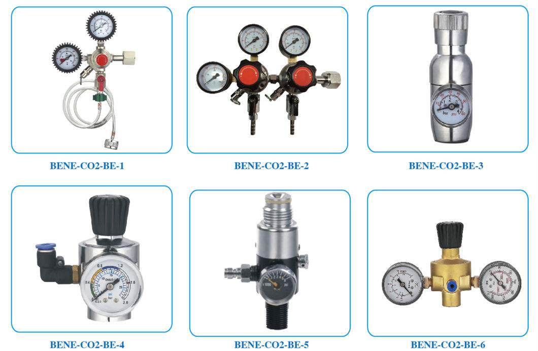 CO2 Gas Regulator with Heater CO2 Gas Regulator for Beverage