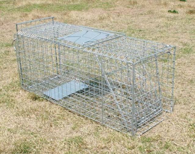 Humanistic Hunting Live Animal Trap Cages for Catching Rats/Mink/Rodent