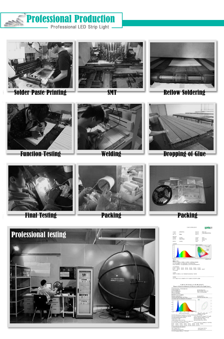 Low Voltage DC12V 24V SMD5630 LED Strip Light in Professional Quality