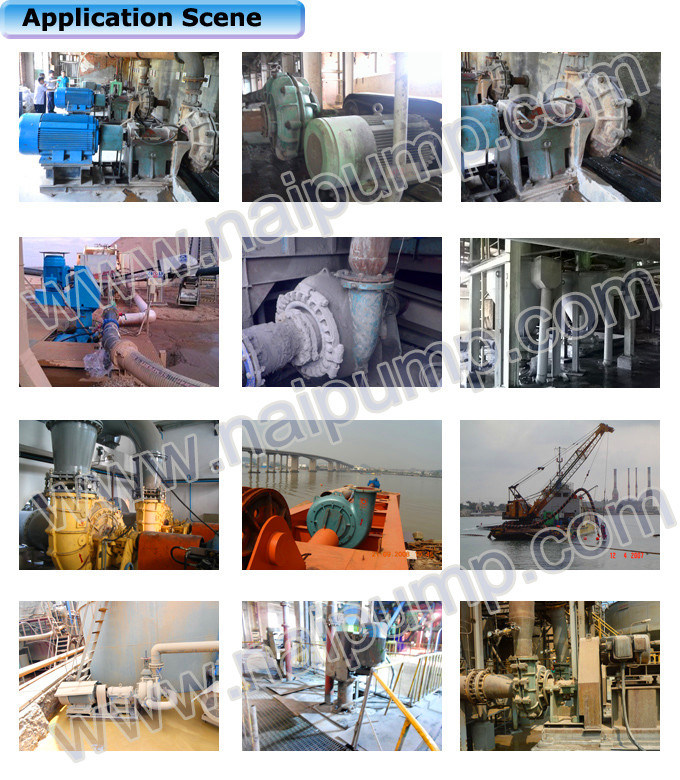 Stainless Steel Vertical Multistage Centrifugal Water Pump