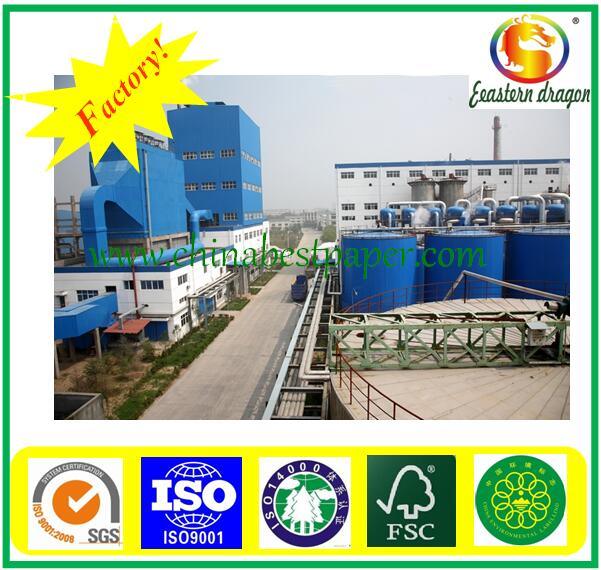 80g Offset Paper Reel from Eastern Dragon Manufacture