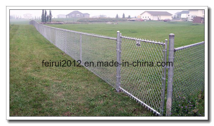 Galvanized Chain Link Fence