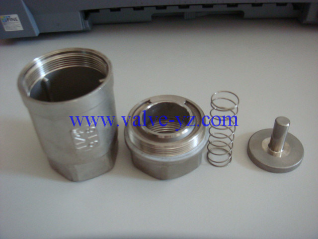 Stainless Steel 2PC Vertical Check Valve Manufacturer