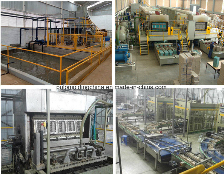 Egg Tray Machine Equipment Paper Egg Tray Making Machineprice