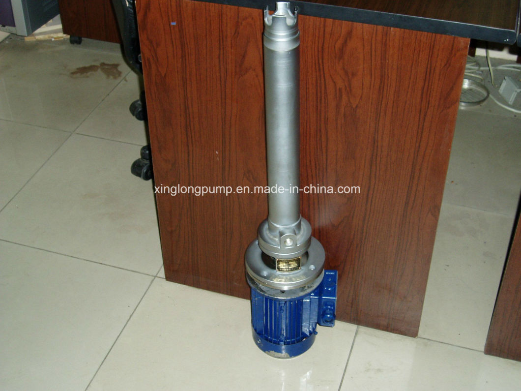 Xinglong Micro Single Screw Pump for Auxiliary Flocculants and Chemicals in Wastewater Treatment