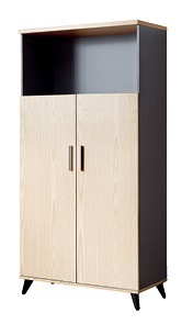 Simple Home Office Furniture Melamine 2 Door Low Bookcase Cabinet (KL-506)